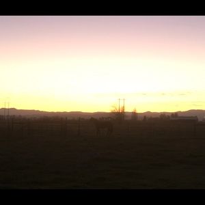 Meet your Posher, Violet